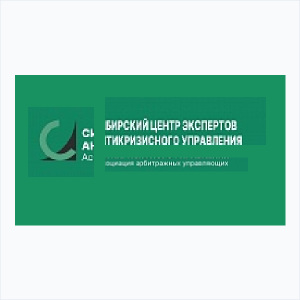 Логотип ААУ "СЦЭАУ"